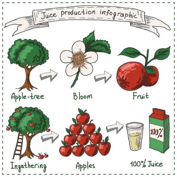 Juice production infographic. Hand drawn sketchy objects on white background — Stock Photo, Image