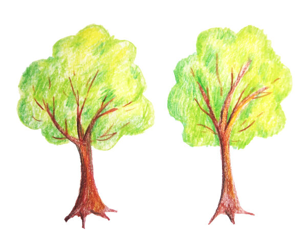 Оригинальное дерево и куст, нарисованные цветными карандашами. Иллюстрация изолированных объектов на белом фоне
.