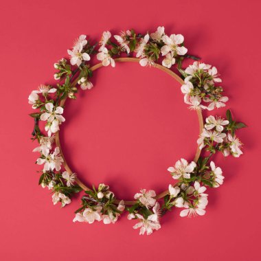 Çiçek ağacı dalları ve ahşap çember kırmızı arka planda uzanır, yuvarlak kopya alanı ile minimum ilkbahar konsepti yatar