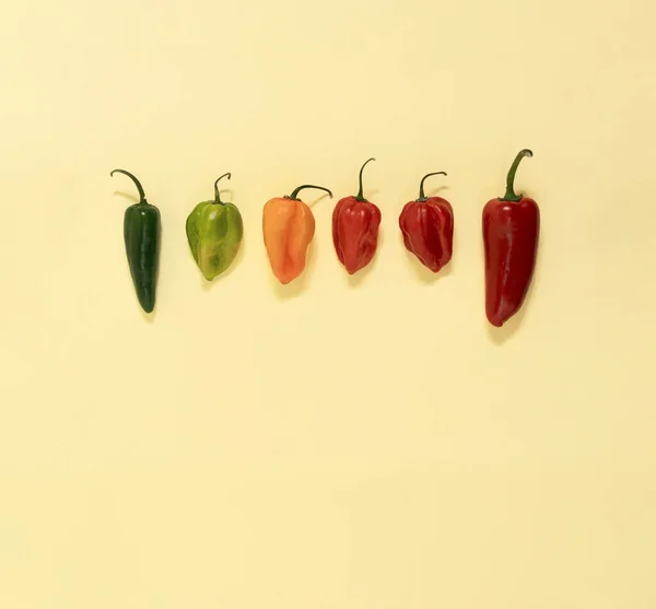 Jalapeno Habanero Hot Chili Peppers Lay Yellow Background Minimal Flat — Stock Photo, Image