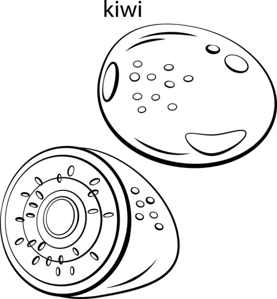 Det Kiwi Hildren Alfabetet Målarbok Med Frukter Och Grönsaker Svartvita — Stock vektor