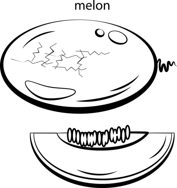 Melon Här Hildren Alfabetet Målarbok Med Frukter Och Grönsaker Svartvita — Stock vektor