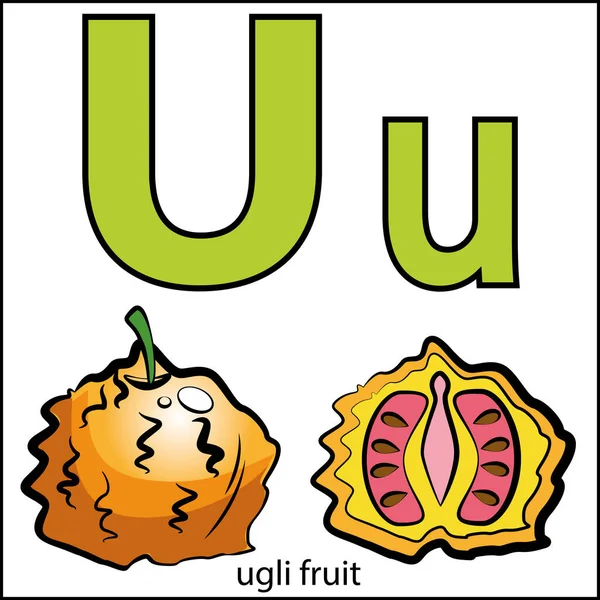 彩色水果蔬菜印刷英文字母卡片说明 — 图库矢量图片