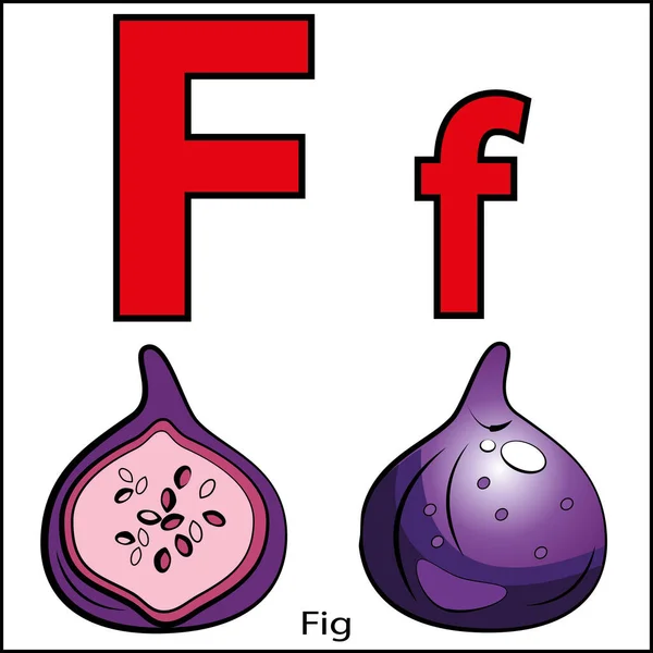 Ugli Fruitストックベクター ロイヤリティフリーugli Fruitイラスト ページ 2 Depositphotos