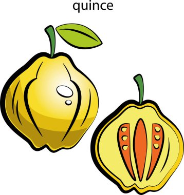 Meyve ve sebzelerin renkli resimleri