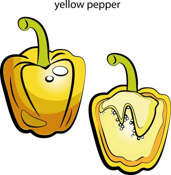 Farbbilder Von Obst Und Gemüse — Stockvektor