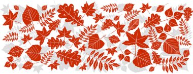  Beyaz çizgili turuncu yapraklar ve beyaz arka planda gri bir gölge..