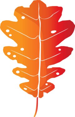 Merhaba sonbahar. Bir sonbahar portakal meşesi yaprağı. Eğim.