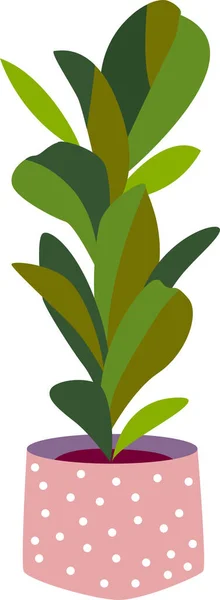 Una planta casera, una maceta botánica. Dibujo en estilo plano sobre fondo blanco. — Vector de stock