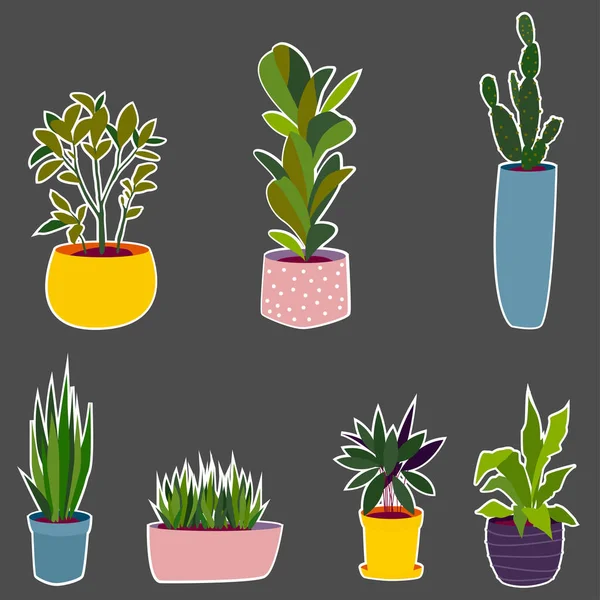 Plantas Casa Vasos Coloridos Diferentes Tamanhos Adesivos Plantas Vaso Fundo — Vetor de Stock