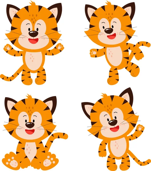 Four cute tiger cubs in different poses. — Stock Vector