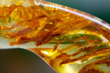 Kehribar mineral numune taşı