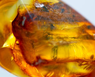 Kehribar mineral numune taşı