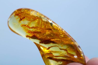 Kehribar mineral numune taşı