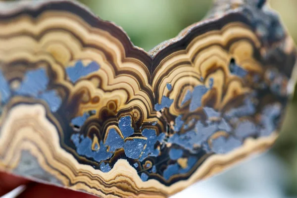 agate mineral numunesi taş jeoloji mücevheri kristali