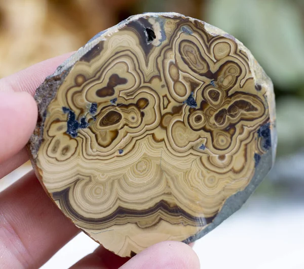 agate mineral numunesi taş jeoloji mücevheri kristali