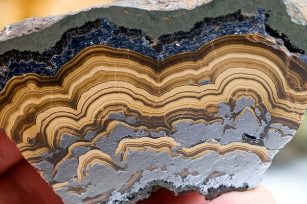 agate mineral numunesi taş jeoloji mücevheri kristali