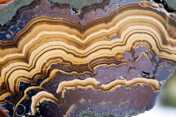 agate mineral numunesi taş jeoloji mücevheri kristali