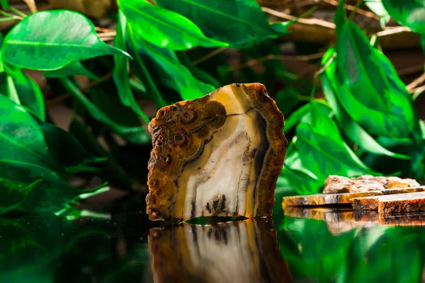 agate mineral numunesi taş jeoloji mücevheri kristali