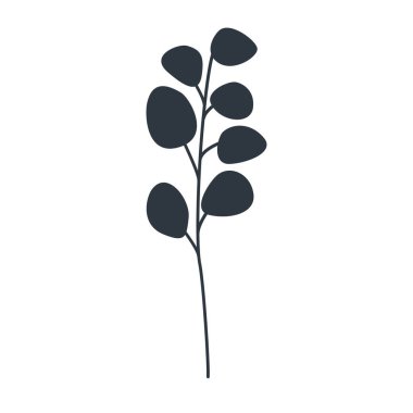 Beyaz bir arka planda okaliptüs popülasyonunun bir dalının silüeti