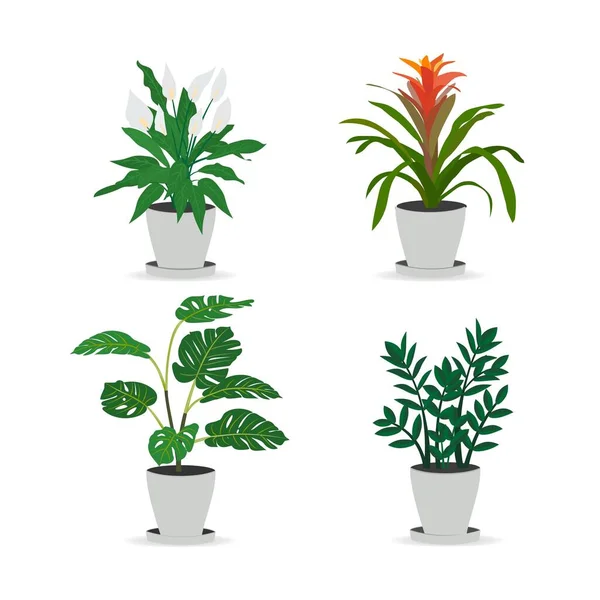 Set of trendy potted plants for home monstera, zamioculkas, guzmania, spatifillum. Isolated on white background. Colored flat vector illustration. — 图库矢量图片
