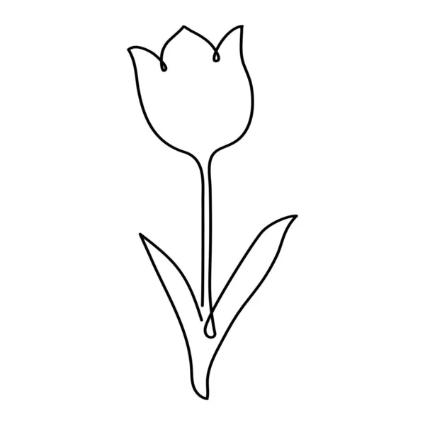 Tulip drawn in line art style. Vector illustration. — Stock Vector