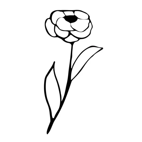 Handgjord stiliserad ros blomma siluett. Vektorillustration i doodle stil. — Stock vektor