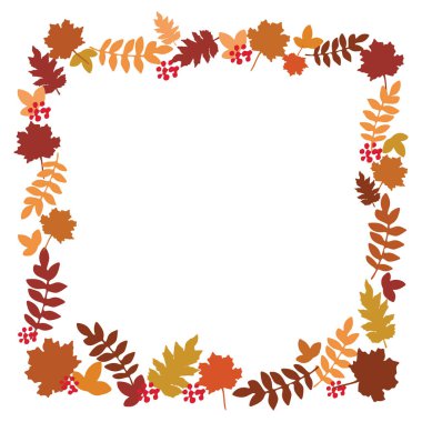 Sonbahar yaprakları ve rowan üzümlerinden sonbahar tasarım çerçevesi, düz vektör illüstrasyonu 