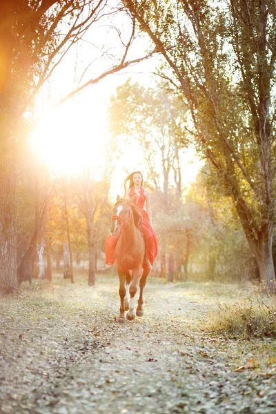 Ung flicka med häst — Stockfoto