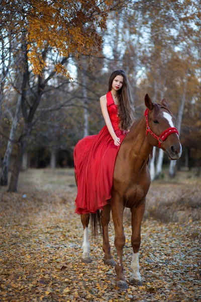 Ung flicka med häst — Stockfoto