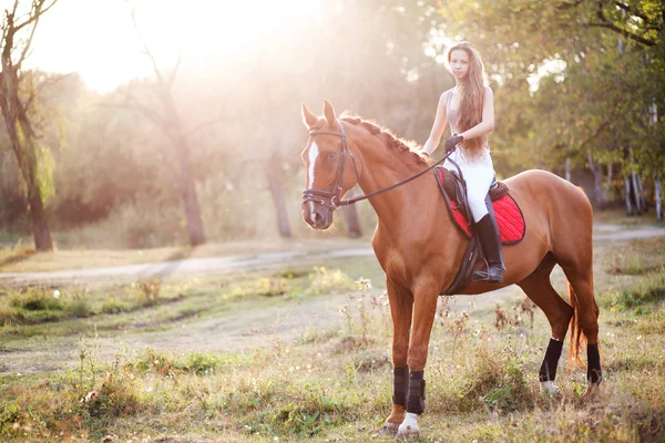 Young girl with horse — Stock Photo, Image