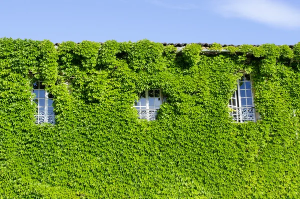 Kır evi cephesi