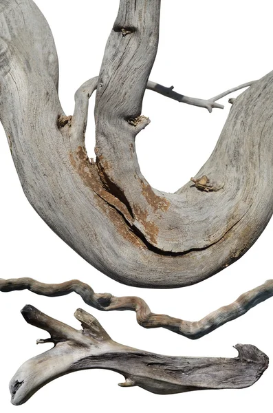 Driftwood cutout — Stock Photo, Image