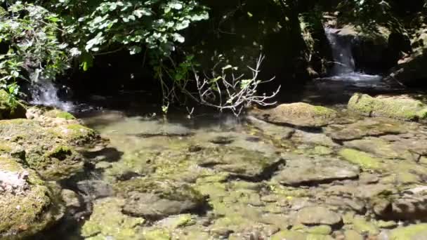 Mouvement de l'eau - rivière de la Côte d'Azur — Video
