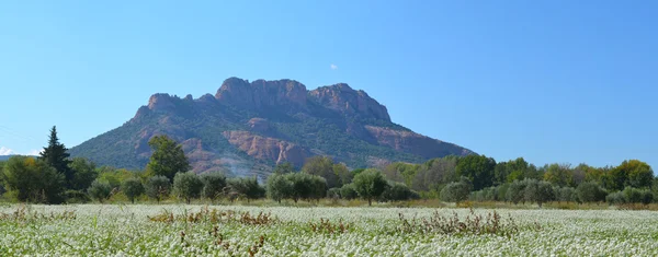 Roquebrune, Maures Massif kaya