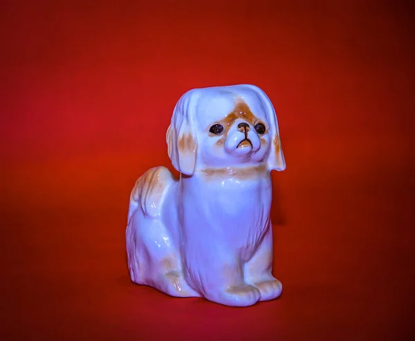 Güzel bej bir köpek. porselen