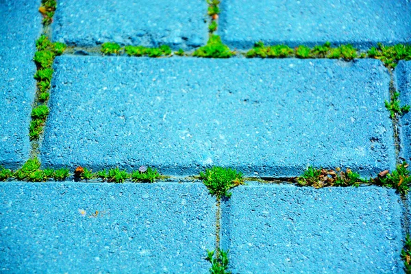 Texture d'un mur de pierre. Vieux château mur de pierre texture fond. Mur de pierre comme fond ou texture. Partie d'un mur de pierre, pour le fond ou la texture. — Photo