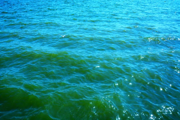 透明な海の水のテクスチャの空中ビュー 自然青の背景からの眺め 青い水の反射 青い海の波 夏の海 ドローン — ストック写真