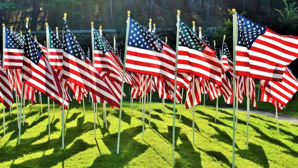 American Flags Green Field — Stock Photo, Image