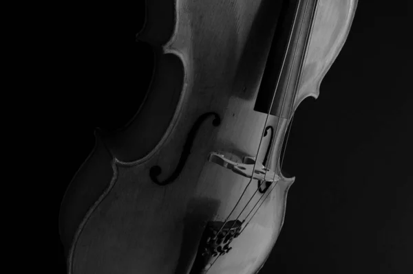 Violin Closeup Sötét Háttér Monokróm Fotográfia — Stock Fotó