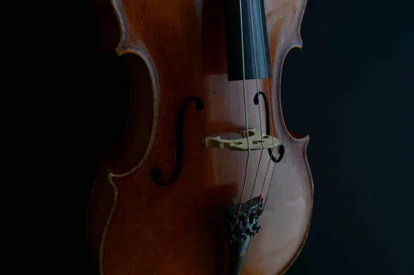 Violin Darkness Closeup Black Background — Stock Photo, Image