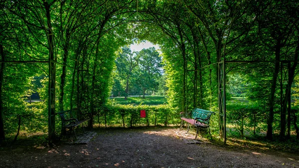 Bellissimo Parco Verde Nella Giornata Sole — Foto Stock