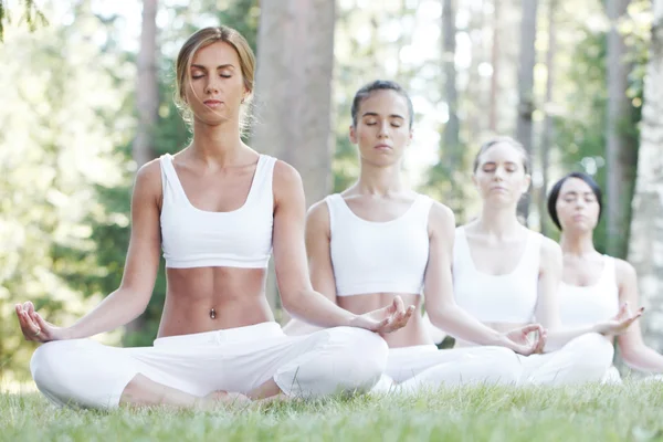 Formación de yoga en el parque — Foto de Stock