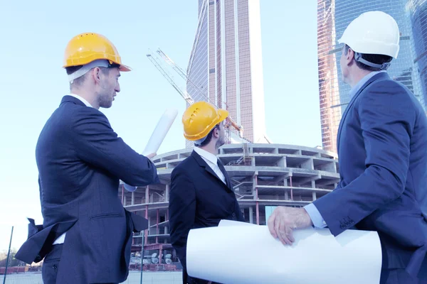 Arquitetos com planta — Fotografia de Stock