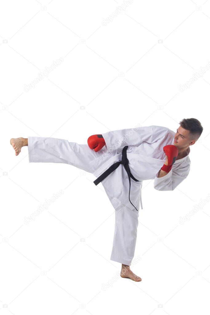 Man fighter training taekwondo isolated on white background