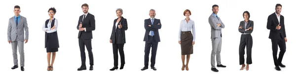 Conjunto Retratos Completos Pessoas Negócios Gerentes Executivos Isolado Sobre Fundo — Fotografia de Stock