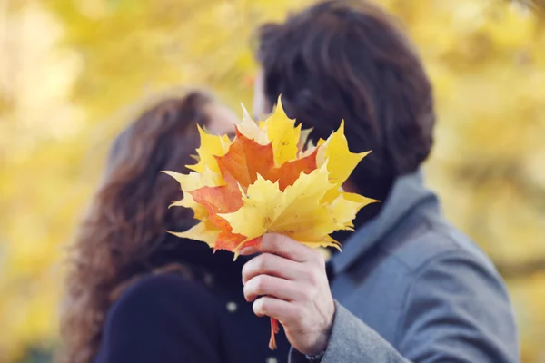 秋の公園でキスするカップル — ストック写真