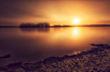 Ufuktaki Ağaçlarla Altın Gün Batımında Rocky Shore