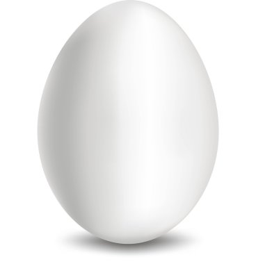 yumurta beyazı vektör