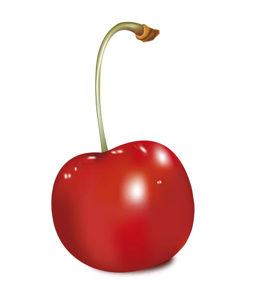 Cherry, cherry manis, berry - Stok Vektor